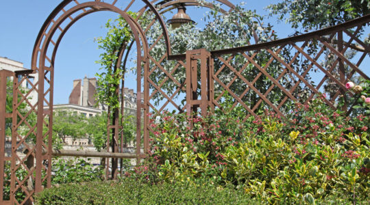 aménagement du jardin